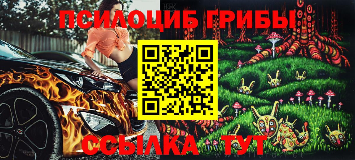 Галлюциногенные грибы мухоморы  Вход с VPN  Новокубанск  Галлюциногенные грибы Psilocybine cubensis 